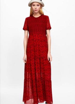 Сукня zara