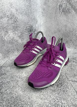 Кросівки  adidas adistar boost5 фото