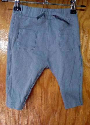 Трикотажные брюки утепленные nutmeg 3-6m/68