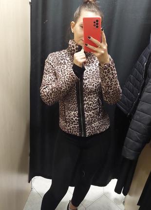Куртка в идеальном состоянии, 280 грн