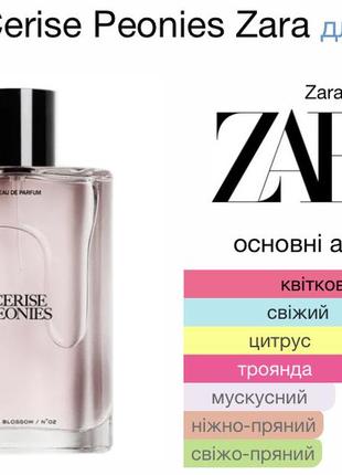 Zara №02 cerise peonies