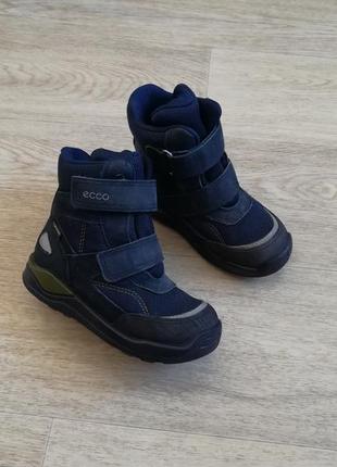 Термо ботинки зимние кожаные ecco urban smowboarder gore-tex 26 размер1 фото