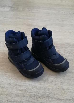 Термо ботинки зимние кожаные ecco urban smowboarder gore-tex 26 размер2 фото