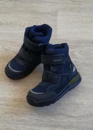 Термо ботинки зимние кожаные ecco urban smowboarder gore-tex 26 размер3 фото