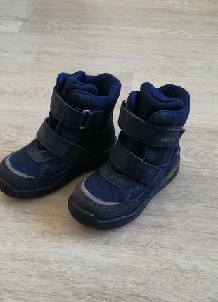 Термо ботинки зимние кожаные ecco urban smowboarder gore-tex 26 размер5 фото