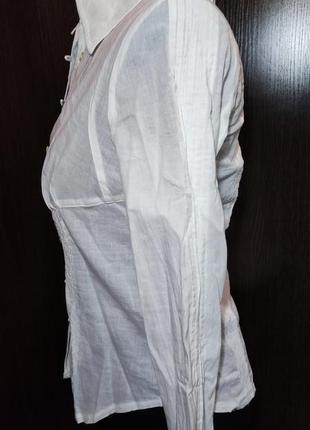 Блуза хлопок приталенная3 фото