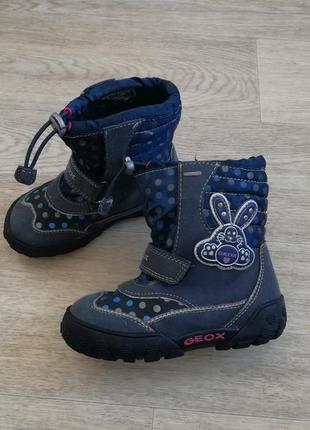 Термо ботинки кожаные geox amphibiox 26 размер1 фото