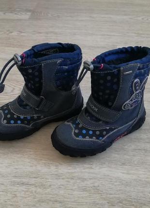 Термо ботинки кожаные geox amphibiox 26 размер2 фото