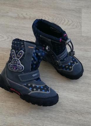 Термо ботинки кожаные geox amphibiox 26 размер3 фото