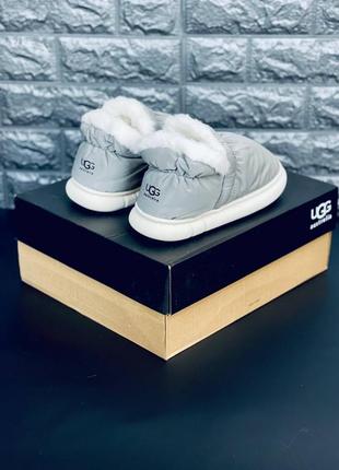 Ugg australia серые женские тапочки ультра мягкие размеры 36-412 фото