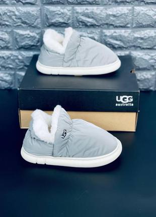 Ugg australia серые женские тапочки ультра мягкие размеры 36-417 фото