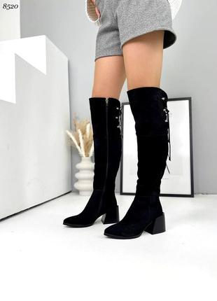 Ботфорти, чорні, натуральна замша, демі/зима