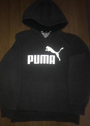 Puma