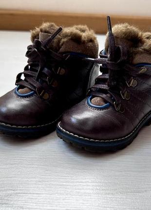 Кожаные теплые ботинки, ботинки elefanten, размер 233 фото