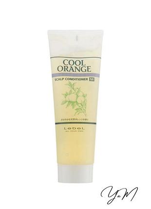 Lebel cool orange scalp conditioner m - очиститель-кондиционер для сухой кожи головы 240 г1 фото