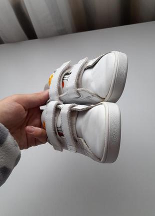 Белые кеды adidas2 фото