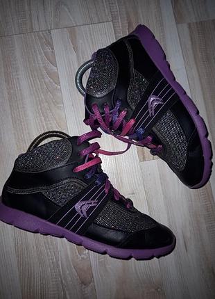 Хайтопы clarks
