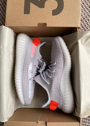 Кроссовки серые adidas yeezy 3503 фото