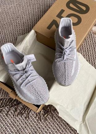 Кроссовки серые adidas yeezy 3502 фото