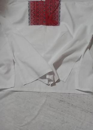 Вышиванка стильная минималистичная мужская красная вышивка5 фото