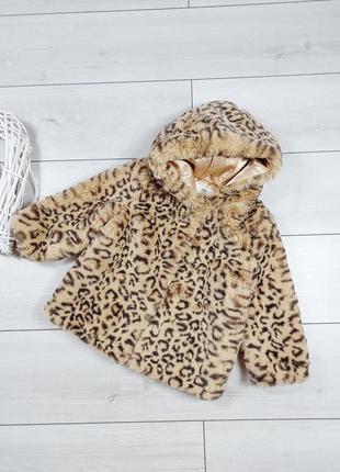 Шубка в лео принт f&f демисезон