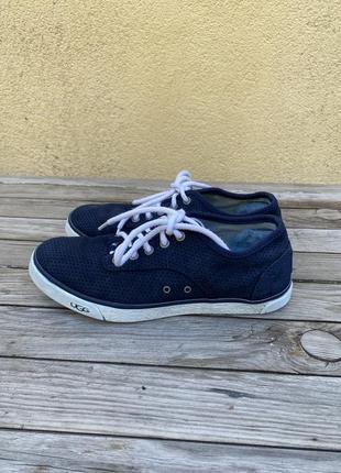 Кеди кросівки жіночі ugg