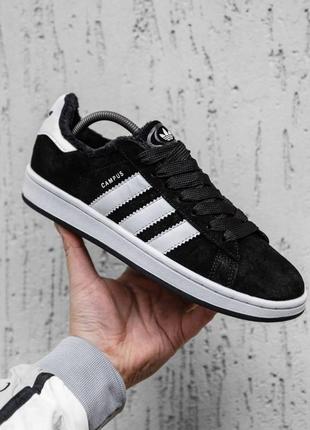 Мужские кеды adidas campus. мех. еврозима - 15°