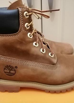 Черевики timberland 6 inch2 фото