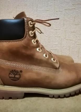 Черевики timberland 6 inch8 фото