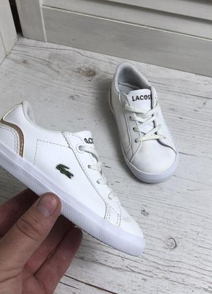 Кросівки lacoste