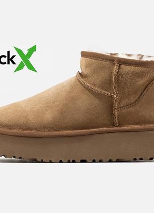 Женские зимние сапоги ugg mini platform черные угги на платформе 36-405 фото