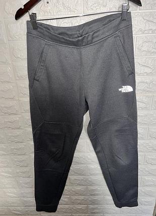 Спортивные штаны the north face