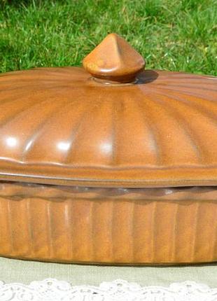 Прекрасна вінтажна форма для запікання.
