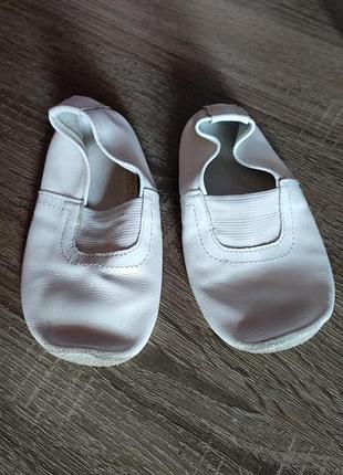 Чешки