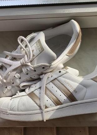 Adidas superstar