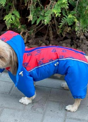 Комбінезон дакар силікон (хлопчик) — xs