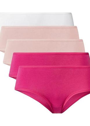 Комплект женских трусиков из 5 штук, размер l/xl цвет малиновый, пудра, белый