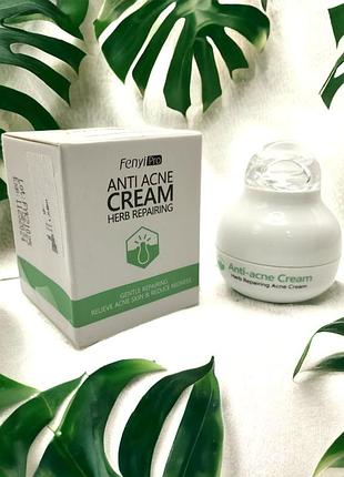 Крем для обличчя анти-акне fenyi pro anti acne herb repairing cream