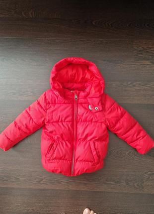 Дитяча куртка mango 24м