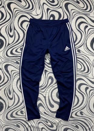 Спортивные штаны free adidas