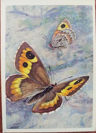 Листівеа 1975 актуально