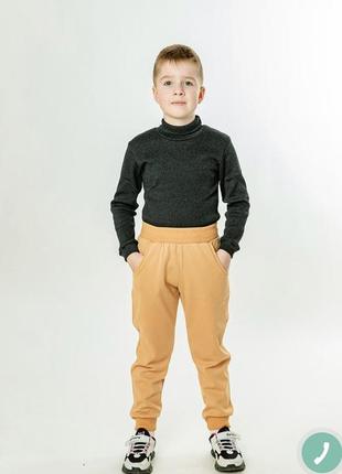 Спортивные штаны джоггеры на манжетах