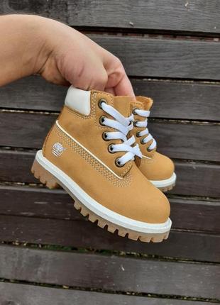 Черевики timberland оригінал