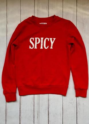 Terranova кофта жіноча