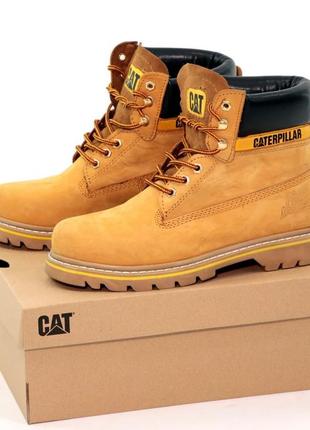 Зимние мужские ботинки caterpillar winter beige yellow (мех) 41-42-43-44