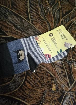 Шкарпетки для хлопчика 12-14 см3 фото