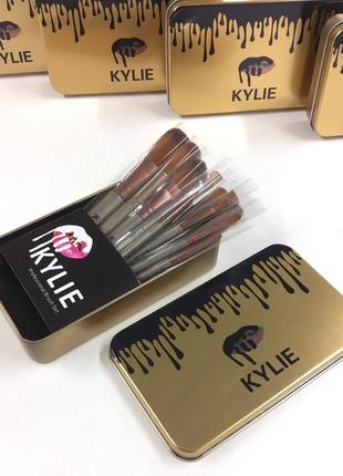 Набір кісточок