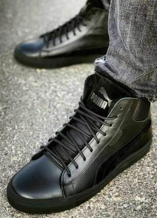 2300 puma petronas