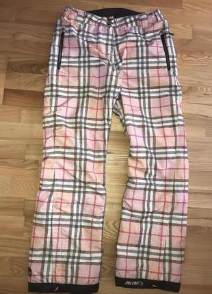 Лижні штани