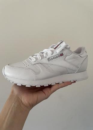 Reebok classic